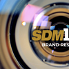 2024 SDM 100 Top Technology Partners